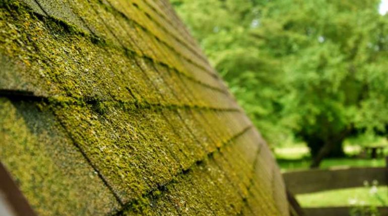 Jak radzić sobie z problemami zniszczonego pokrycia dachowego w zależności od jego rodzaju